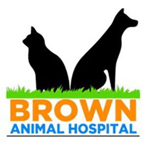 Vibrant logo