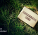 Cyber Survival Favors the Updated: Your Business Adaptation Strategy